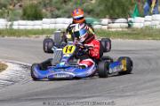 20110501_ales_agnus (3458)